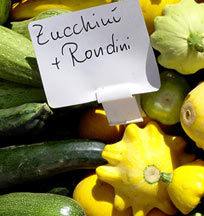 zucchini und Rondini